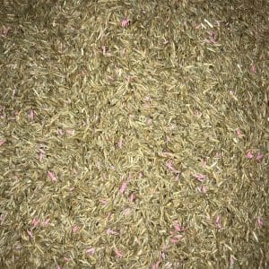 DELUXE OVERSEEDING MIXTURE