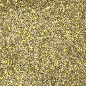 NIAGARA TURF GENIUS WATER SAVER MIXTURE