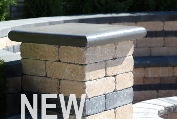 BULLNOSE COLUMN CAP - CAPS & COPING - CAPS