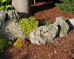 MOSS ROCK
