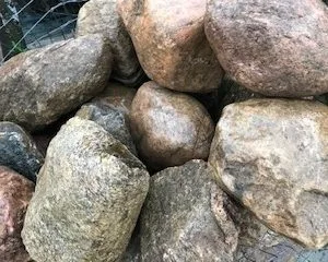 ALGONQUIN RIVER ROCK 10" - 18"
